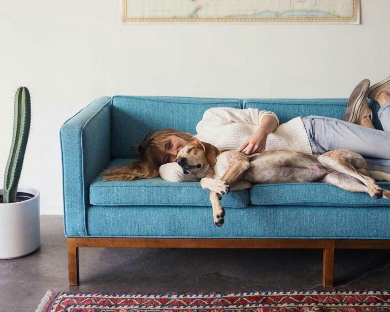 társállatgyász, Ónody Viktória