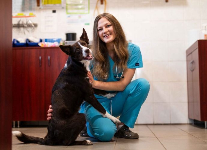 Piller Pálma, PetwiseCare