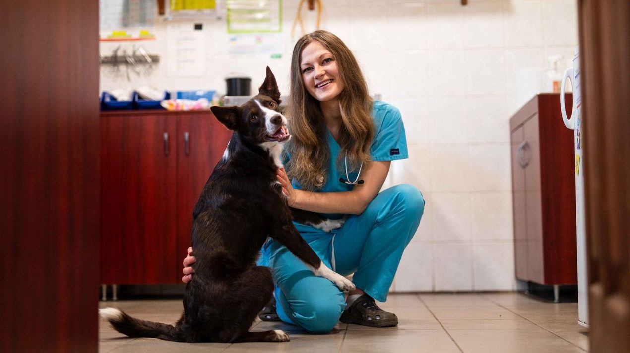 Piller Pálma, PetwiseCare