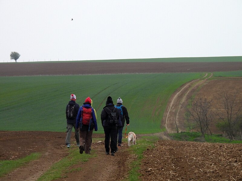Eltamino, túrista útvonal, zarándokút Magyarországon
