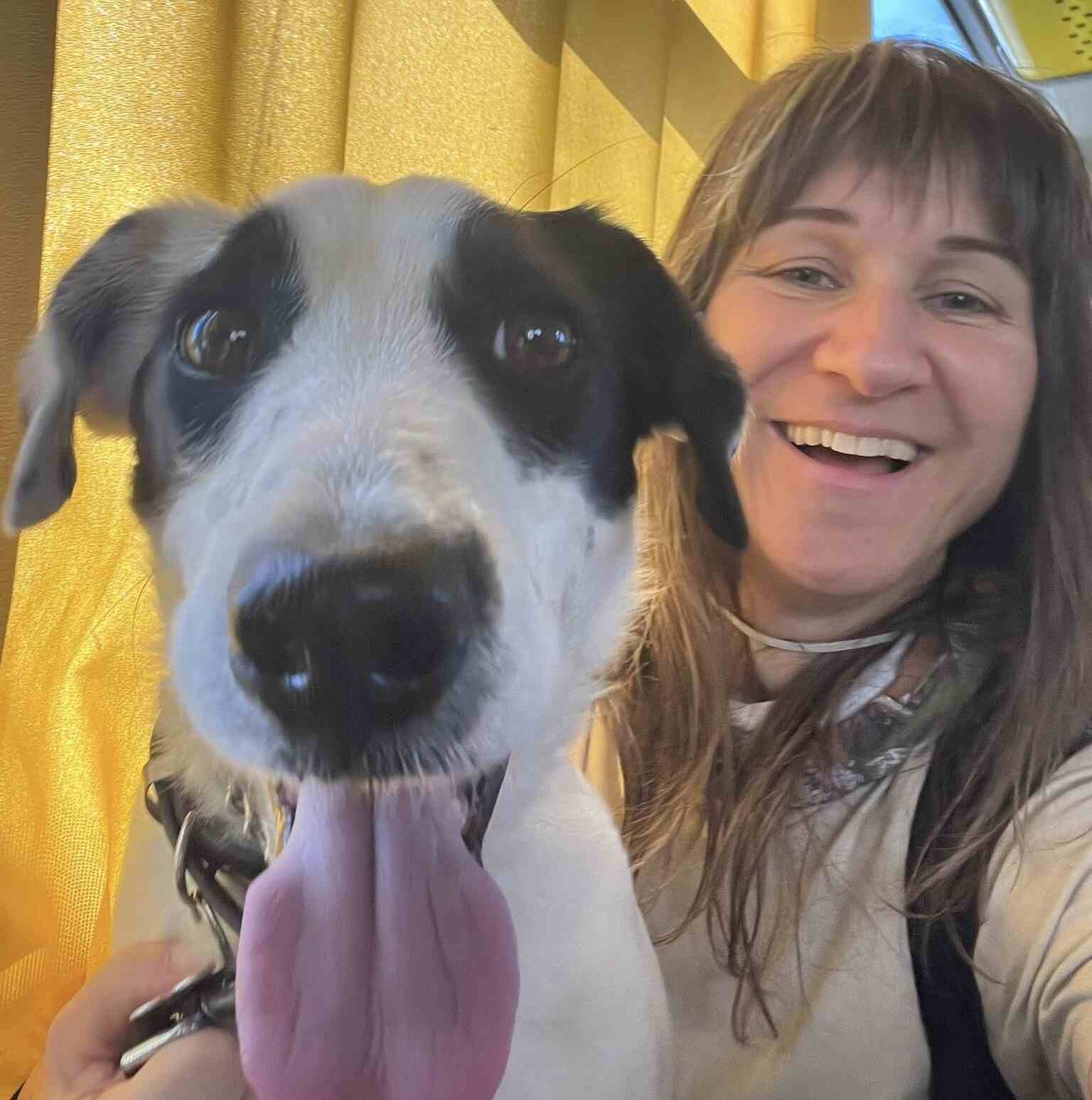 Andok Zsuzsa, el tamino