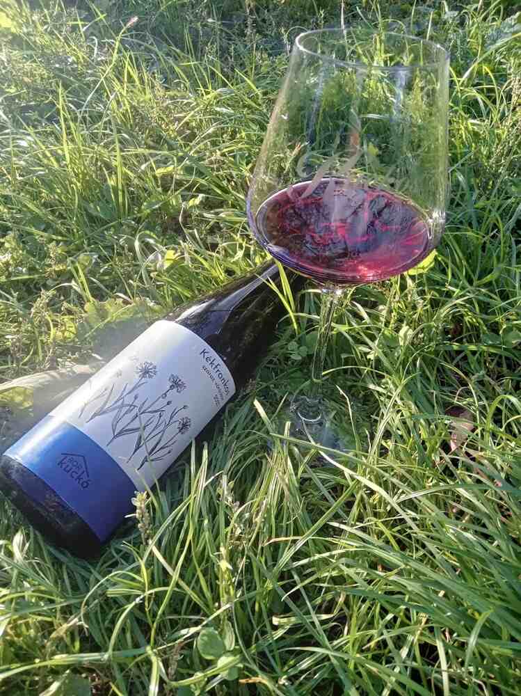 Székely Emőke borok