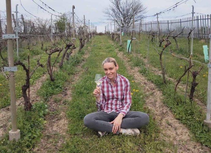 Székely Emőke borok