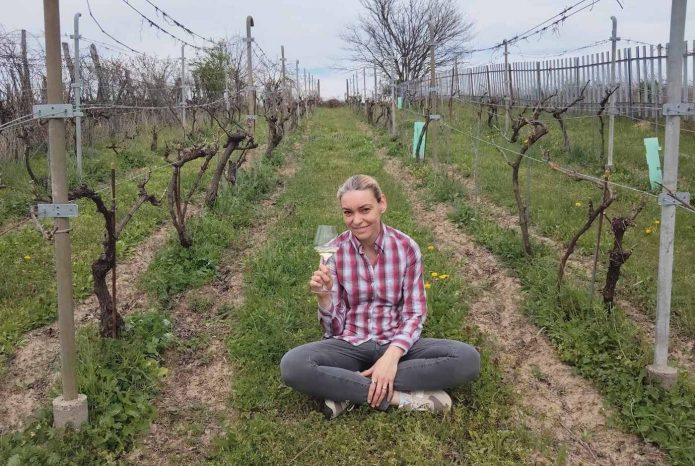 Székely Emőke borok