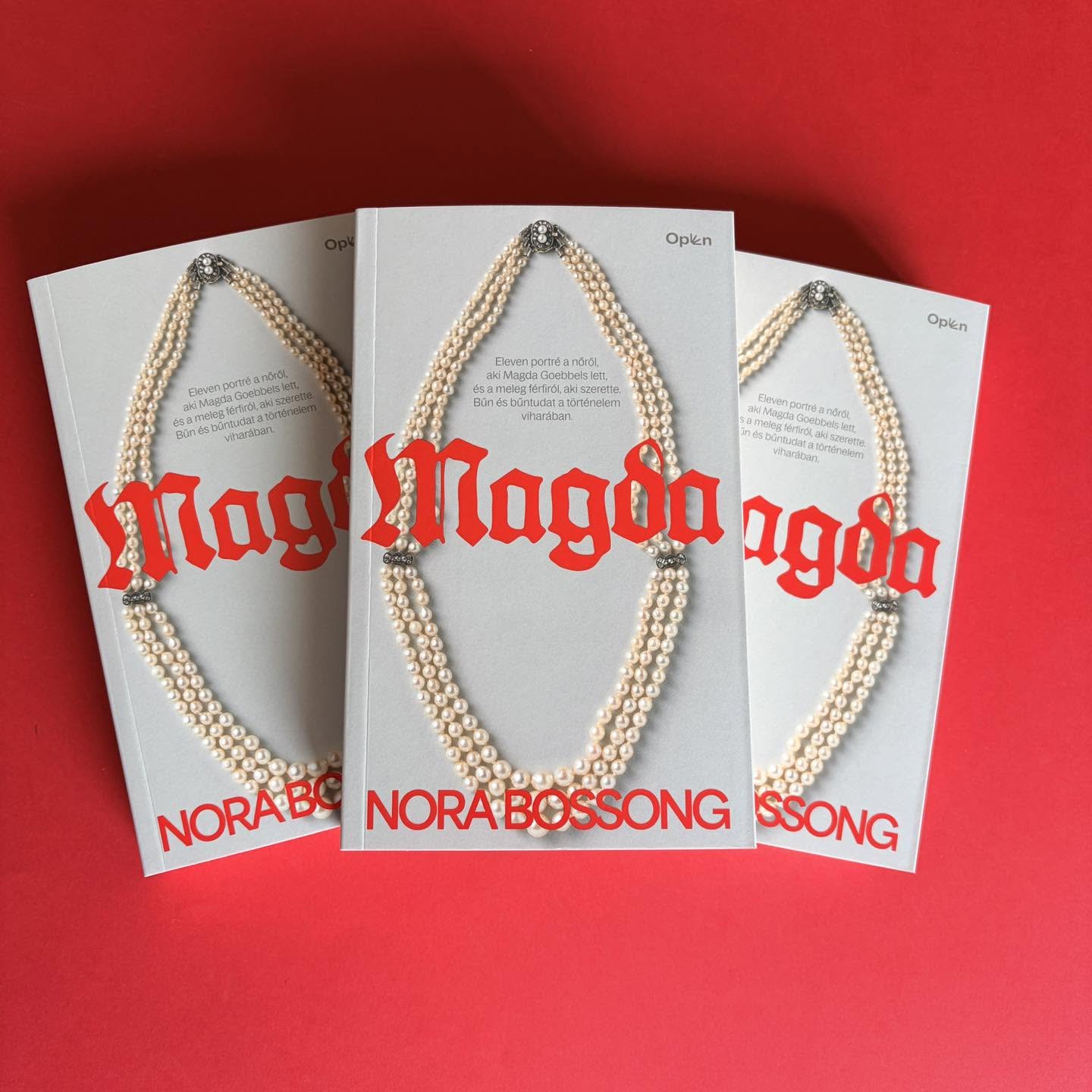 Nora Bossong, Magda című könyv